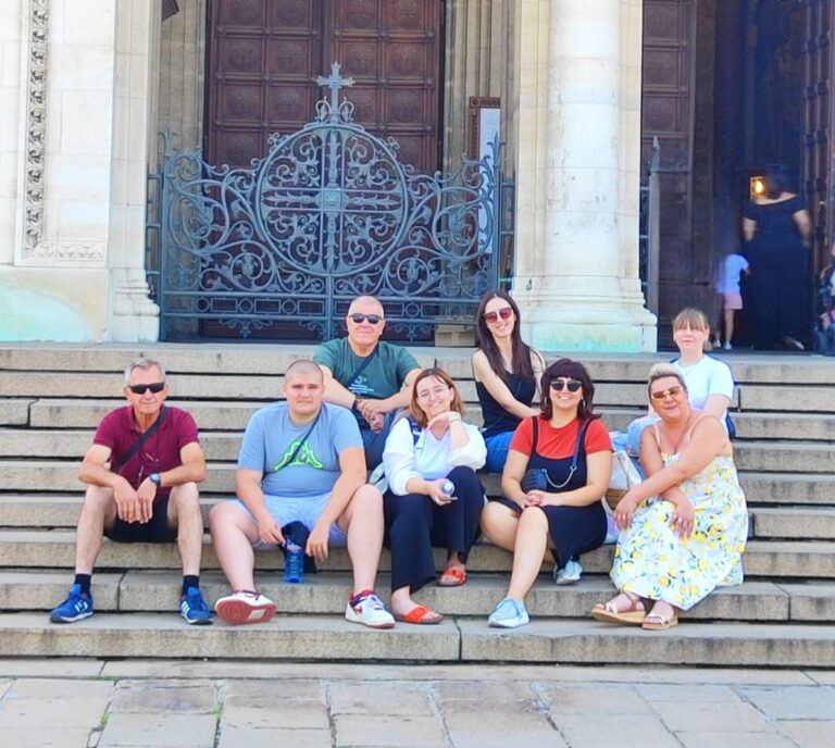 Provedba projekta “Metaphor”